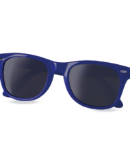 Wayfarer Blauw Zwart CHEAP DEAL